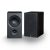 PSB Alpha P5 állványos hangfal fekete színben