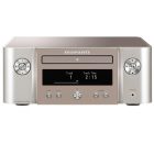 MELODY X SILVER GOLD