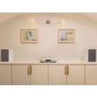 DENON DCD-900NE PREMIUM SILVER