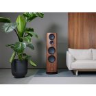 NEW REFERENCE 2 WALNUT