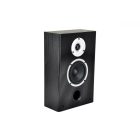 RAPTOR ON WALL BLACK