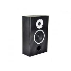 RAPTOR ON WALL BLACK