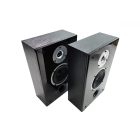 RAPTOR ON WALL BLACK