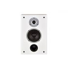 RAPTOR ON WALL WHITE