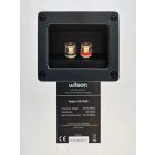 RAPTOR ON WALL WHITE