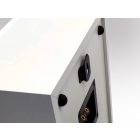 RAPTOR ON WALL WHITE