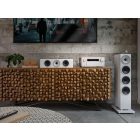 AVC-A10H PREMIUM SILVER