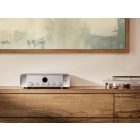 MODEL 60n SILVER GOLD